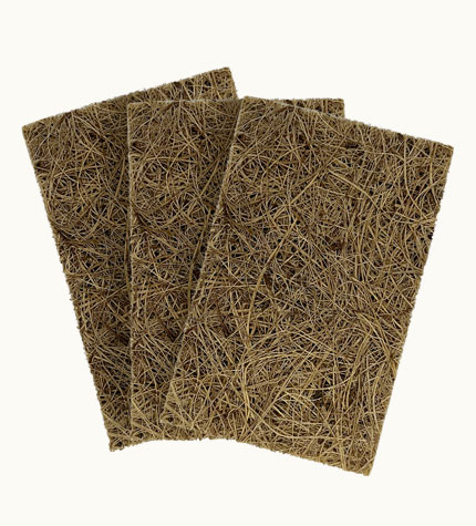 Natural coconut palm wood pulp sponge coconut palm fiber surface display