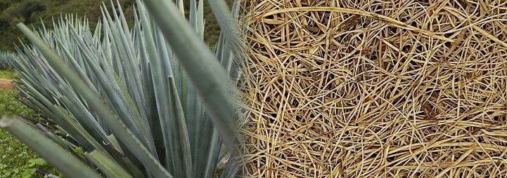 Sisal pulp sponge fabrics and raw materials