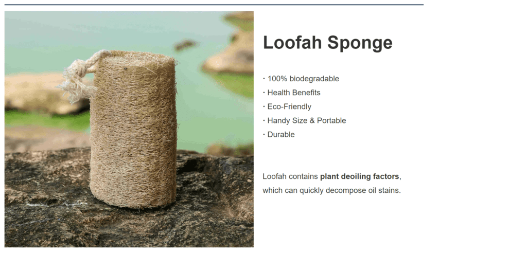 loofah sponge