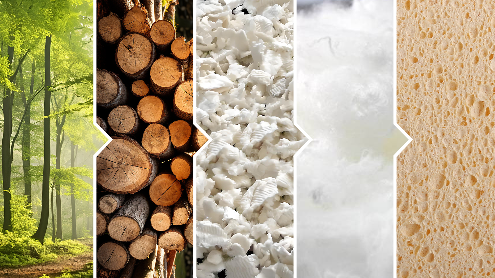 Cellulose sponges are made from wood pulp, a renewable resource.