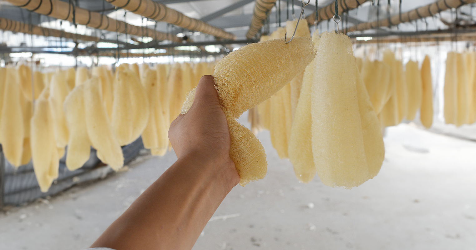 Cleaning care loofah raw materials