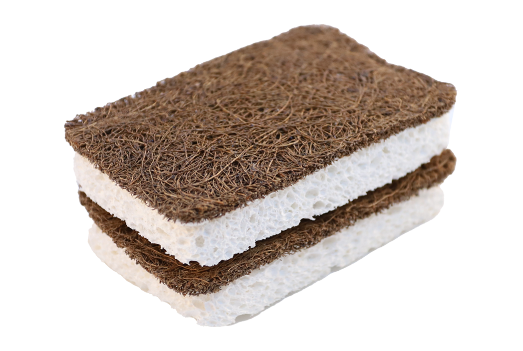 Coconut + Cellulose Sponge