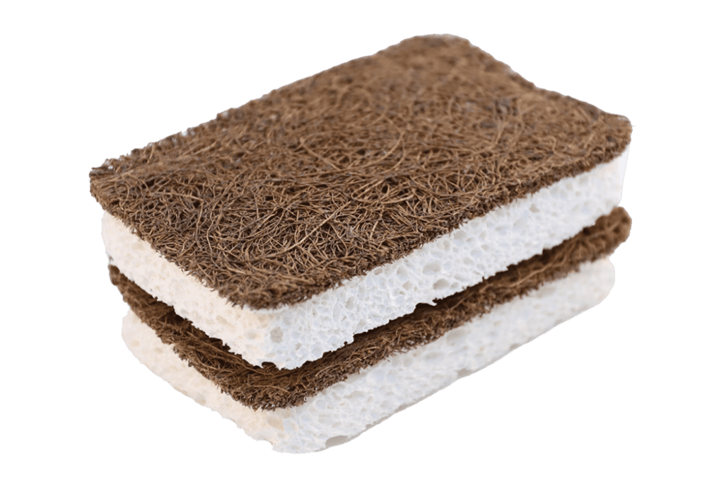 Coconut + Cellulose Sponge