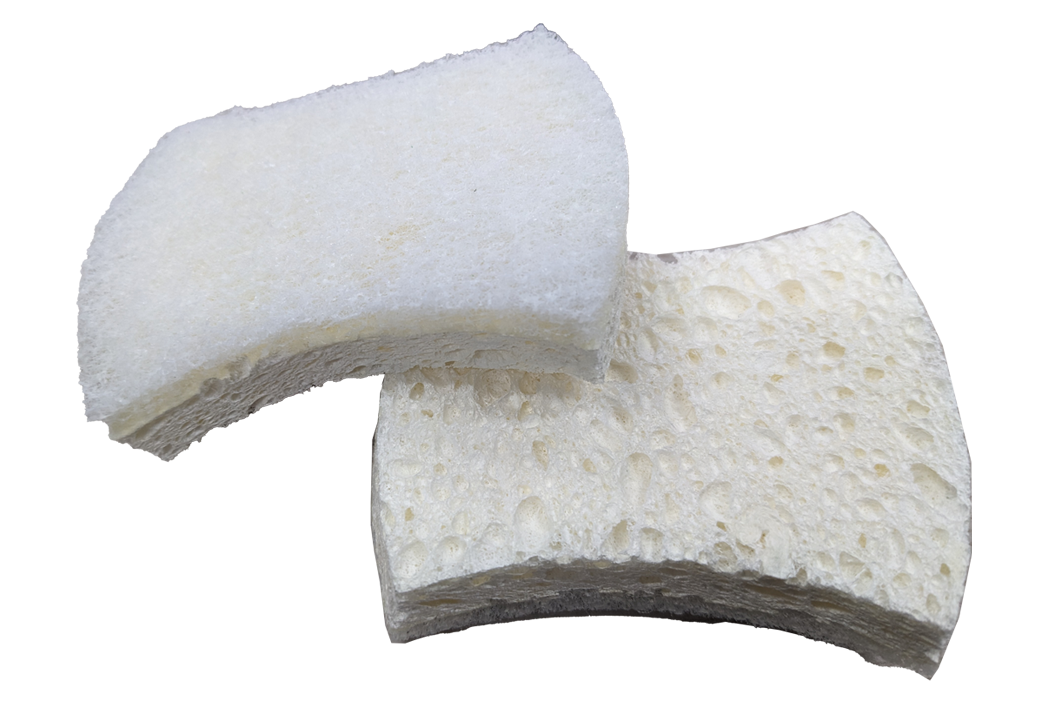 PAL + Cellulose Sponge